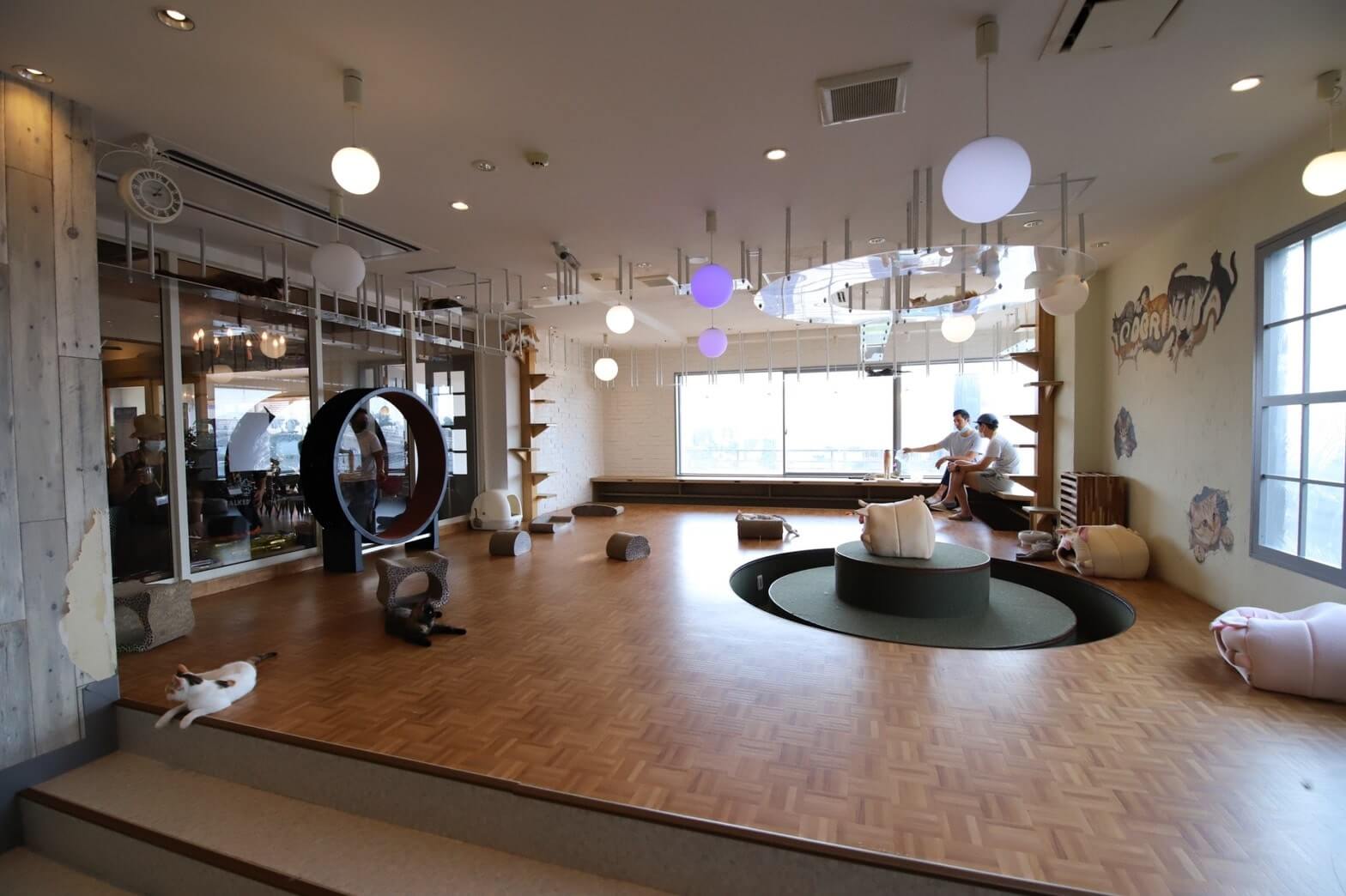 空陸家plus 江ノ島店